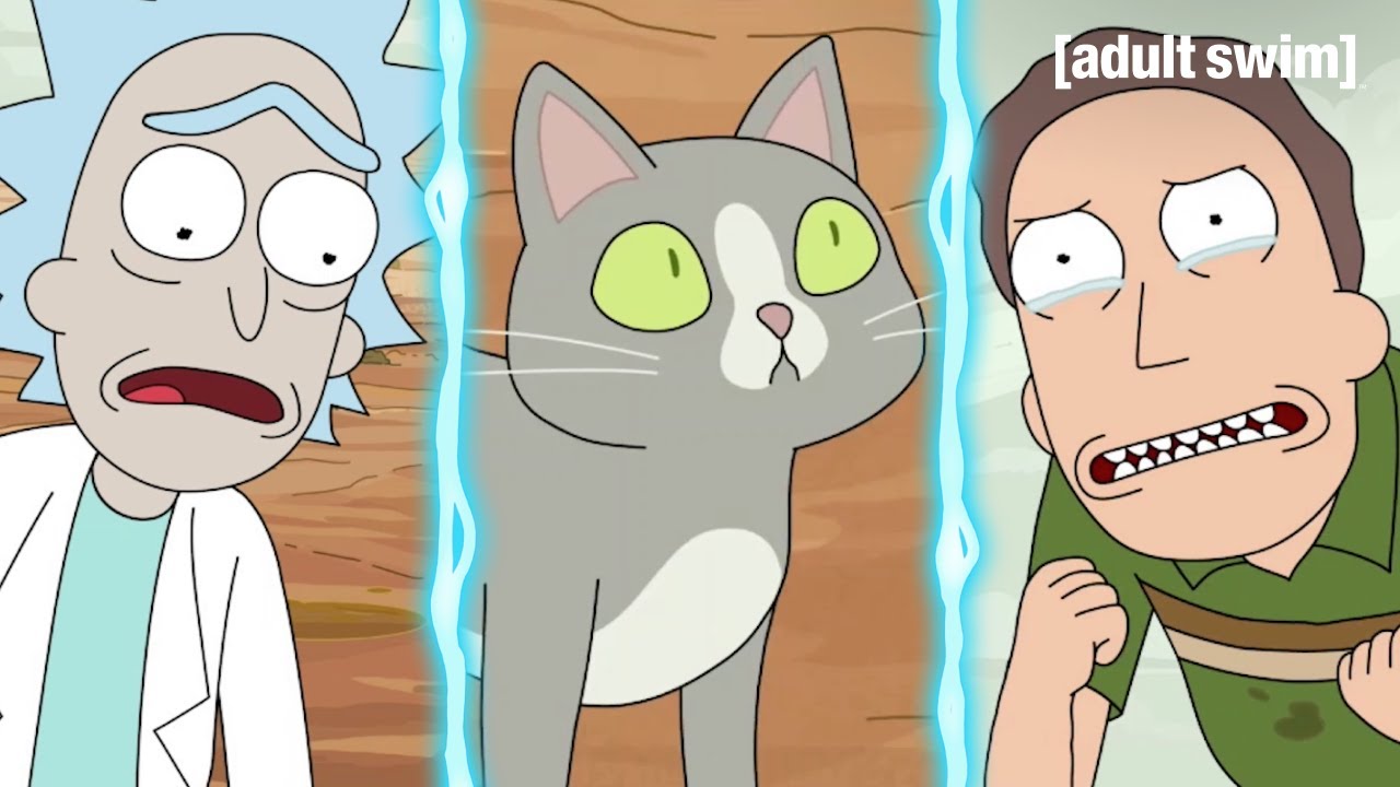 Don’t Ask Why the Cat Can Talk | Rick and Morty | adult swim