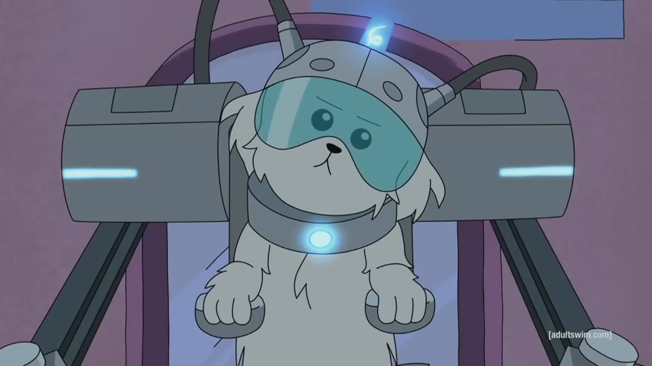 Robert Paulson III as Snuffles AKA Snowball | Rick and Morty | Felix Kargegie YT