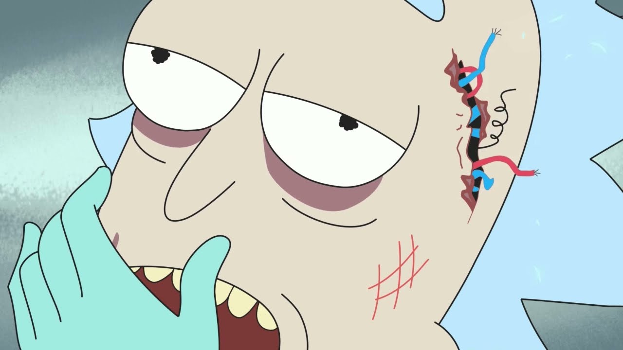 Season 1 Episode 9: Excelsior – Rick And Morty