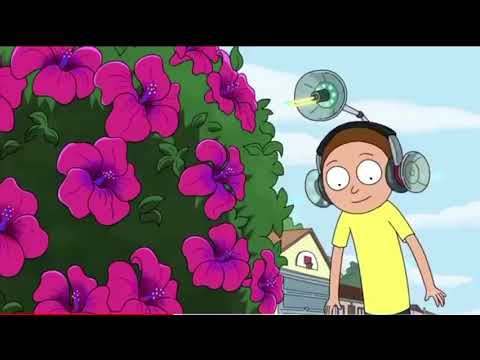 Squirrels | Rick and Morty